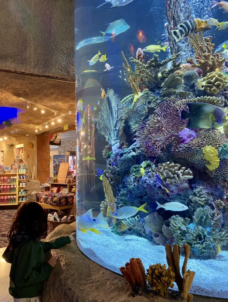 Aquarium Restaurant in Nashville, TN pictures.
