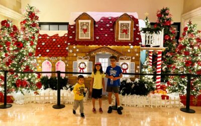 Christmas at Ritz Carlton Orlando Review.