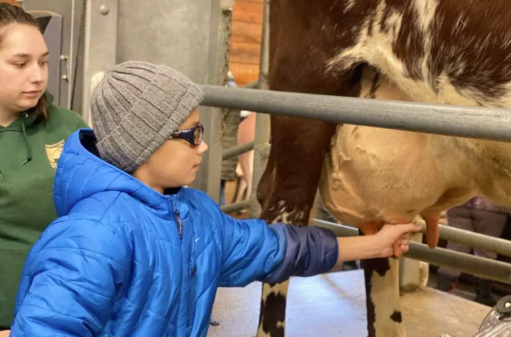 Come to Lake Metroparks Farmpark, and Milk the Cow.